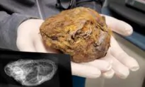 Miner Finds Grapefruit-Sized Fur Ball Now Deemed a ‘Perfectly Preserved’ 30,000-Year-Old Squirrel
