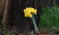 Community Mourns 4 Killed in Regional Victoria Crash