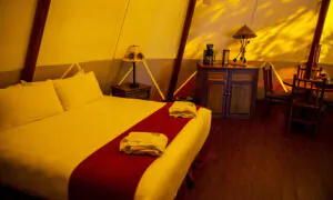 Central Florida Ranch Voted Top Glamping Destination Nationwide
