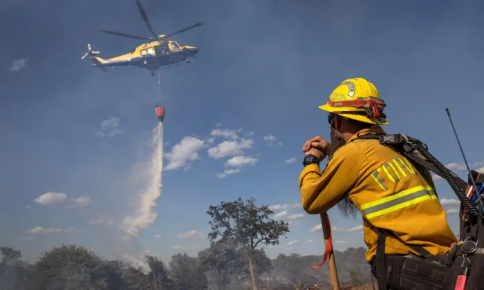 Firefighters battle a grass fire which was approaching a residential neighborhood on the outskirts of Austin, Texas, on Aug. 2, 2022. (John Moore/Getty Images)