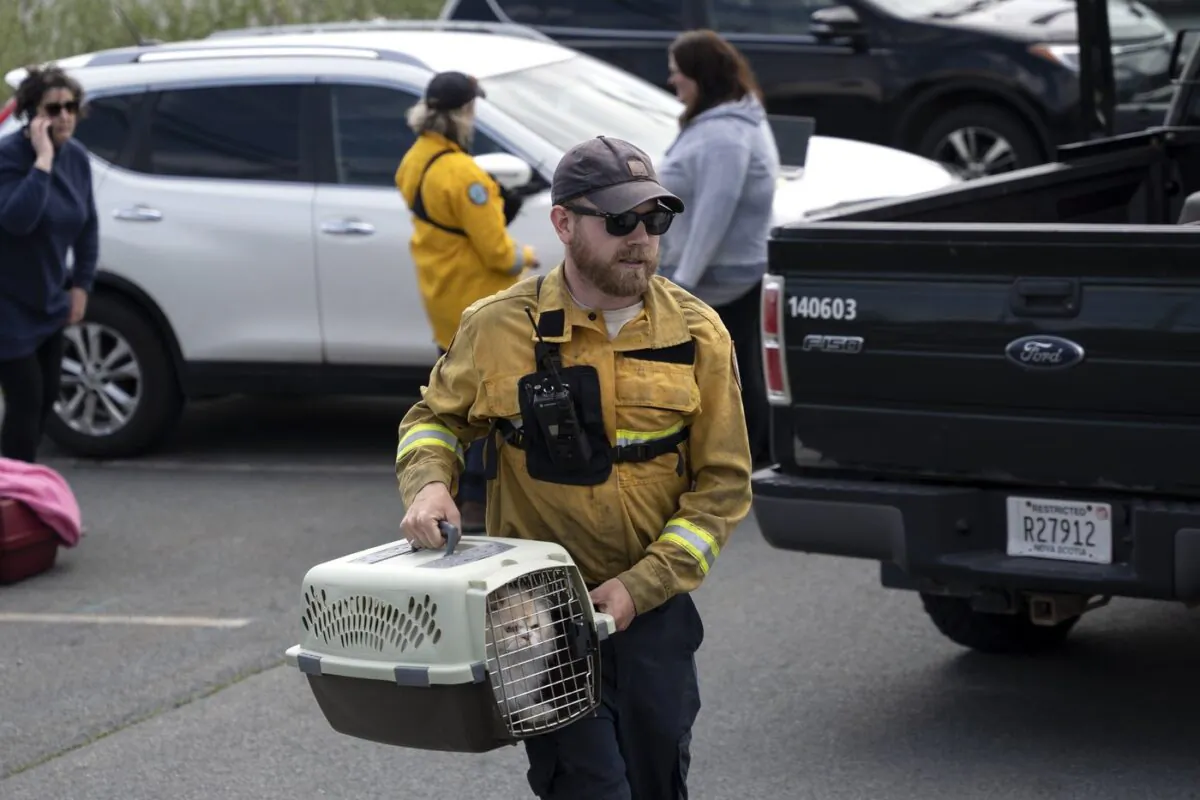 Patrick MacLennan with the Department of Natural Resources carries a cat rescued from the evacuated zone of the wildfire burning in Tantallon, N.S. outside of Halifax on May 29, 2023. (The Canadian Press/Darren Calabrese)