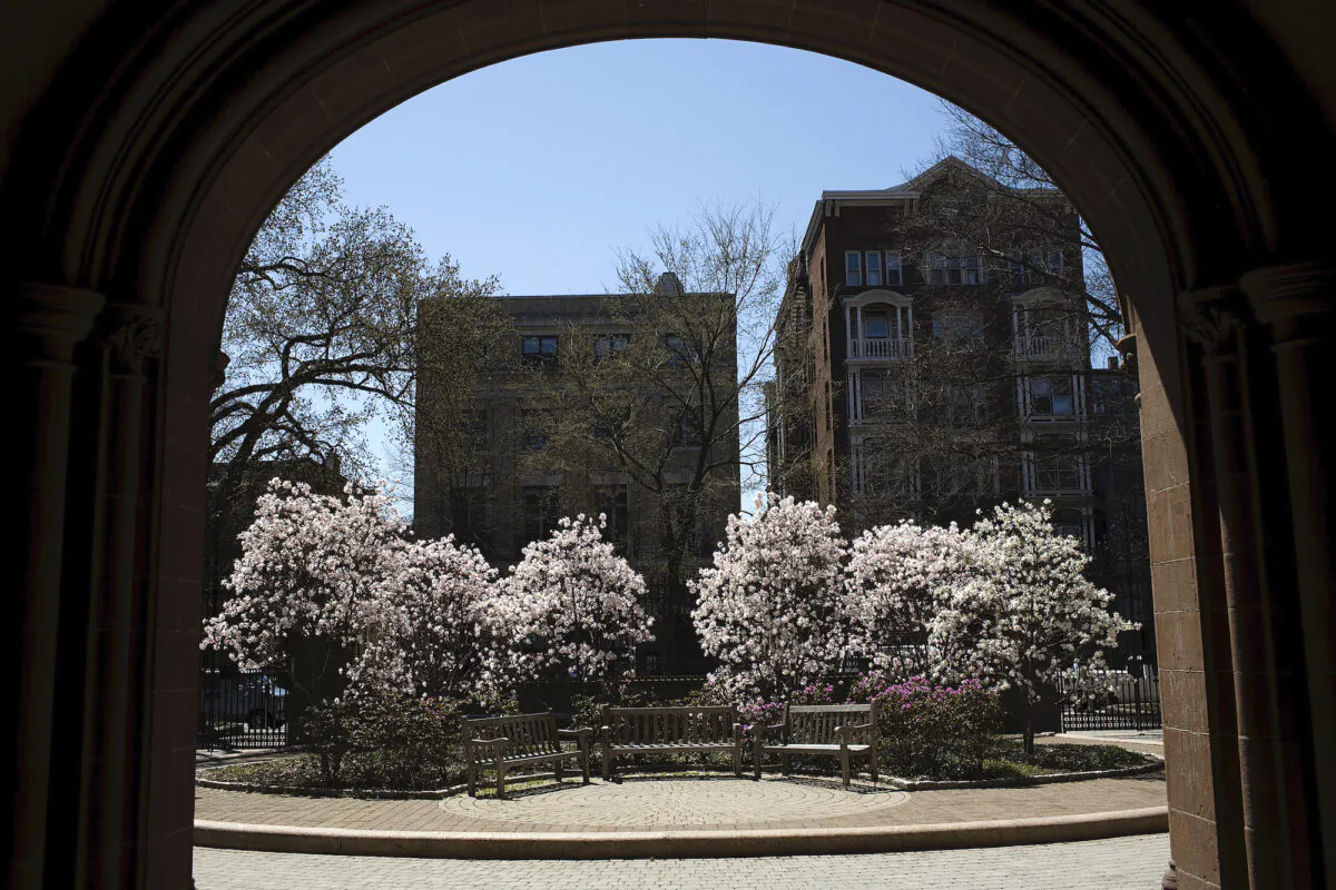 Trees bloom on the campus of Yale University in New Haven, Connecticut, on April 16, 2008. (Christopher Capozziello/Getty Images)