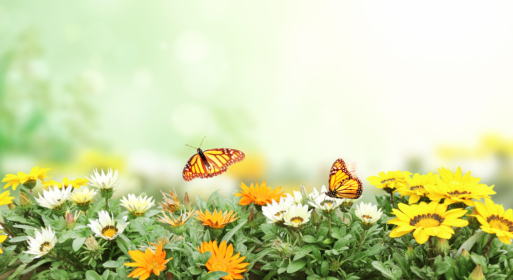 NextImg:Hands On: Pinching and Hand-Pollinating for a Bumper Crop