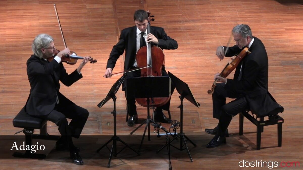 NextImg:Mozart: Divertimento in E Flat Major K. 563 (Grand Trio) | New Italian String Trio