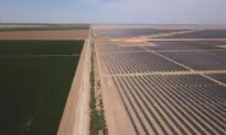 Companies Should Focus on Their Products, Not Preach ESG to the Public