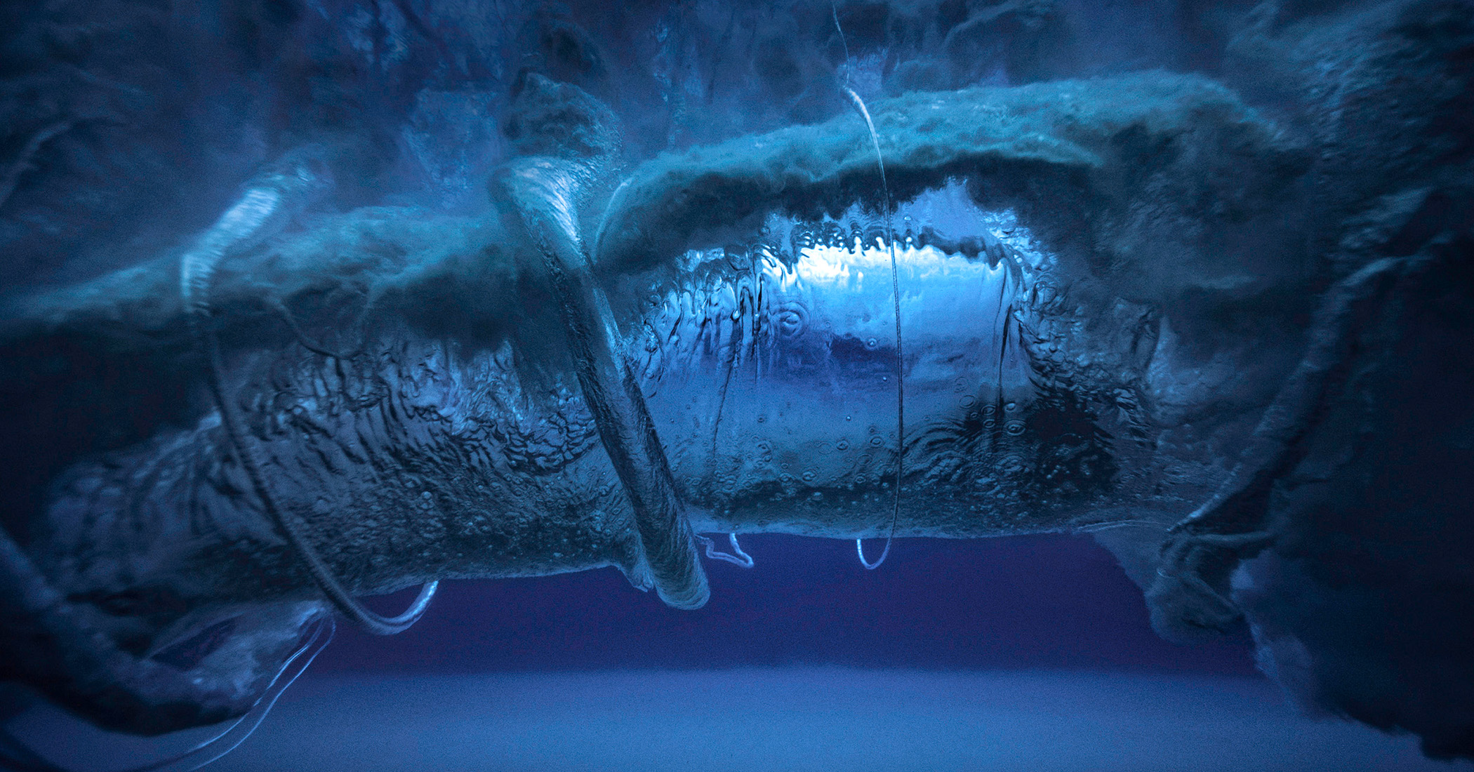 NextImg:Underwater photographer captures glasslike insides of surf waves that look unreal through his lens