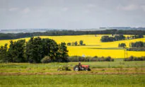 Climate Policy Emerges as Major Risk to Farmers, Investors