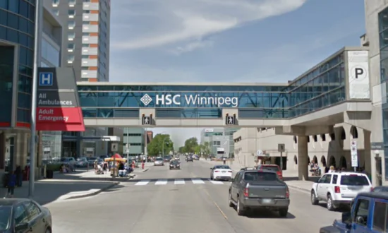 Raised Platform Collapse in Winnipeg During School Field Trip Sends 16 Children to Hospital