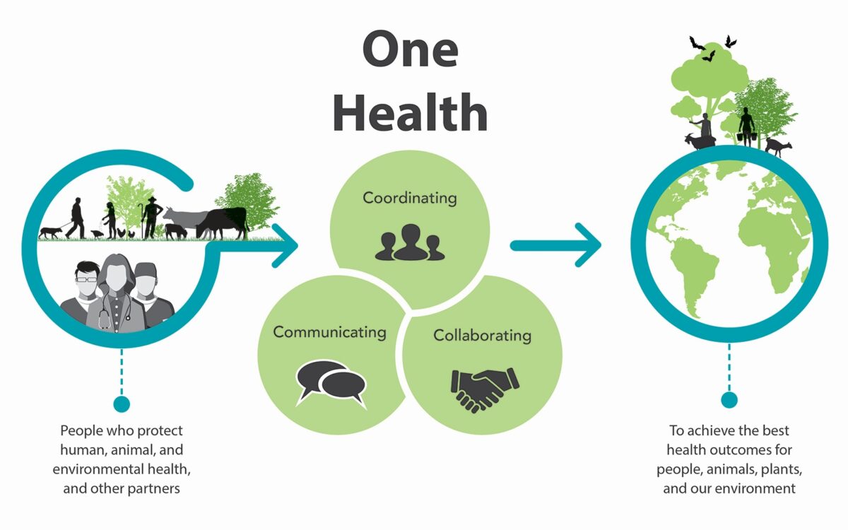 One Health, Holistic Medicine and the Poisoning of Minds