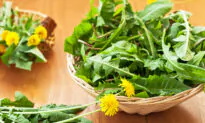 More Than a Weed: Dandelions Have 8 Benefits, Beware of 2 Things When Consuming
