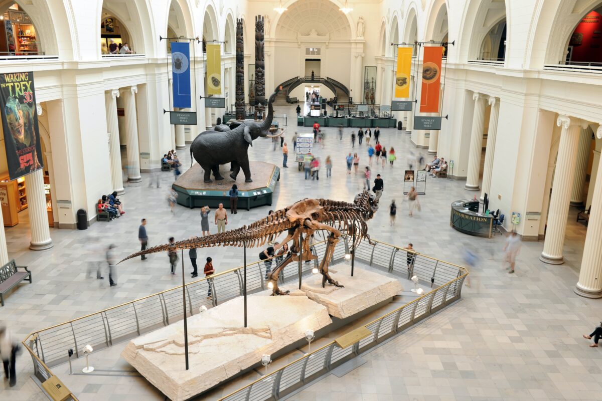 Taking the Kids: And Including a Museum on Your Summer Travels