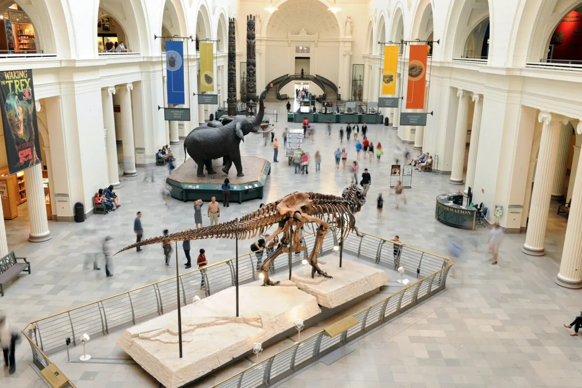 Chicago's Field Museum of Natural History (Dreamstime)