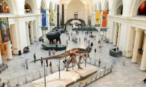 Taking the Kids: And Including a Museum on Your Summer Travels