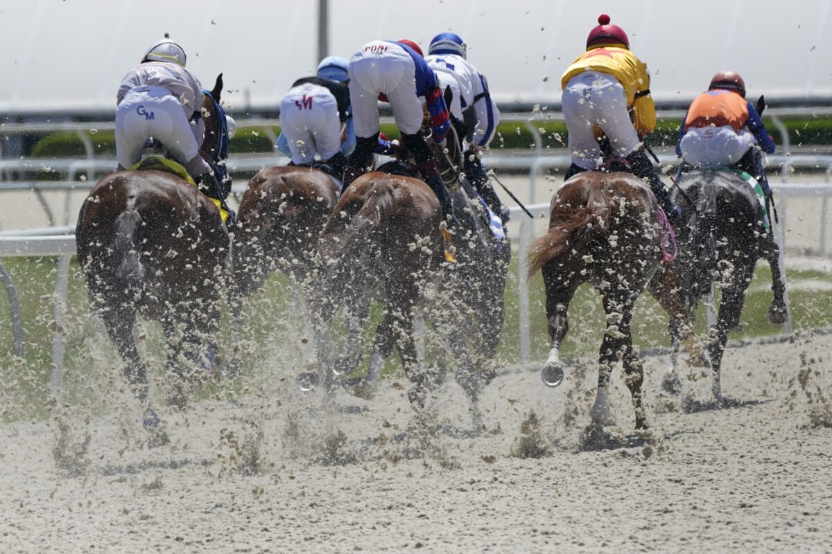 Synthetic Surfaces Gaining Traction at Major Horse Racing Tracks