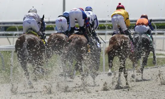 Synthetic Surfaces Gaining Traction at Major Horse Racing Tracks