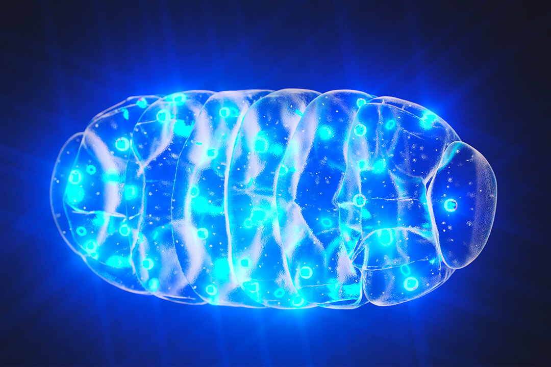 A Root Cause of Mental Illness: Harvard Professor