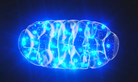 A Root Cause of Mental Illness: Harvard Professor