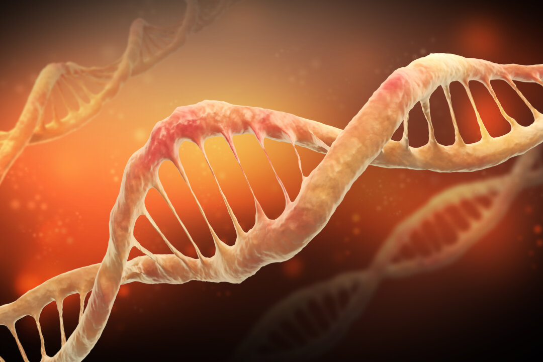 Damaged DNA (Festa/Shutterstock)