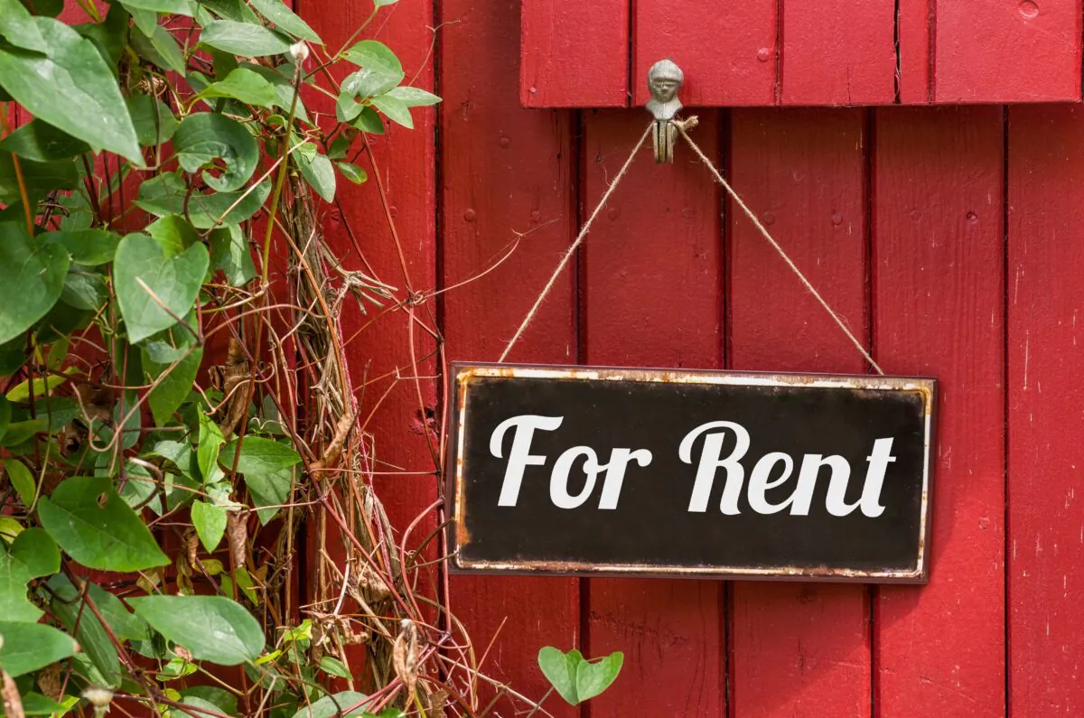 (Zerbor/Shutterstock)