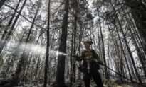 Nearly 700 More International Firefighters Coming to Canada to Help Battle Fires