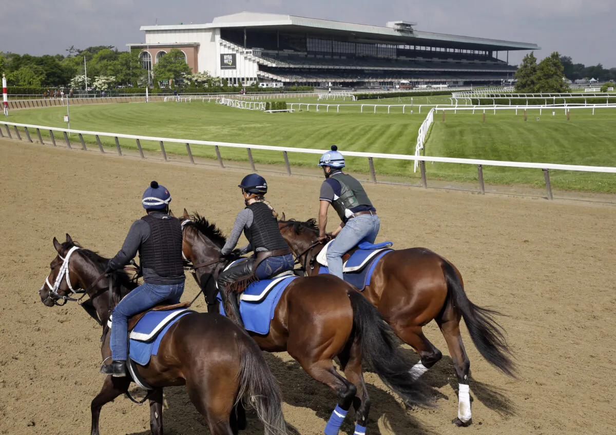 Riders workout with horses at Belmont Park in Elmont, N.Y., on June 6, 2019. (Seth Wenig/AP Photo)