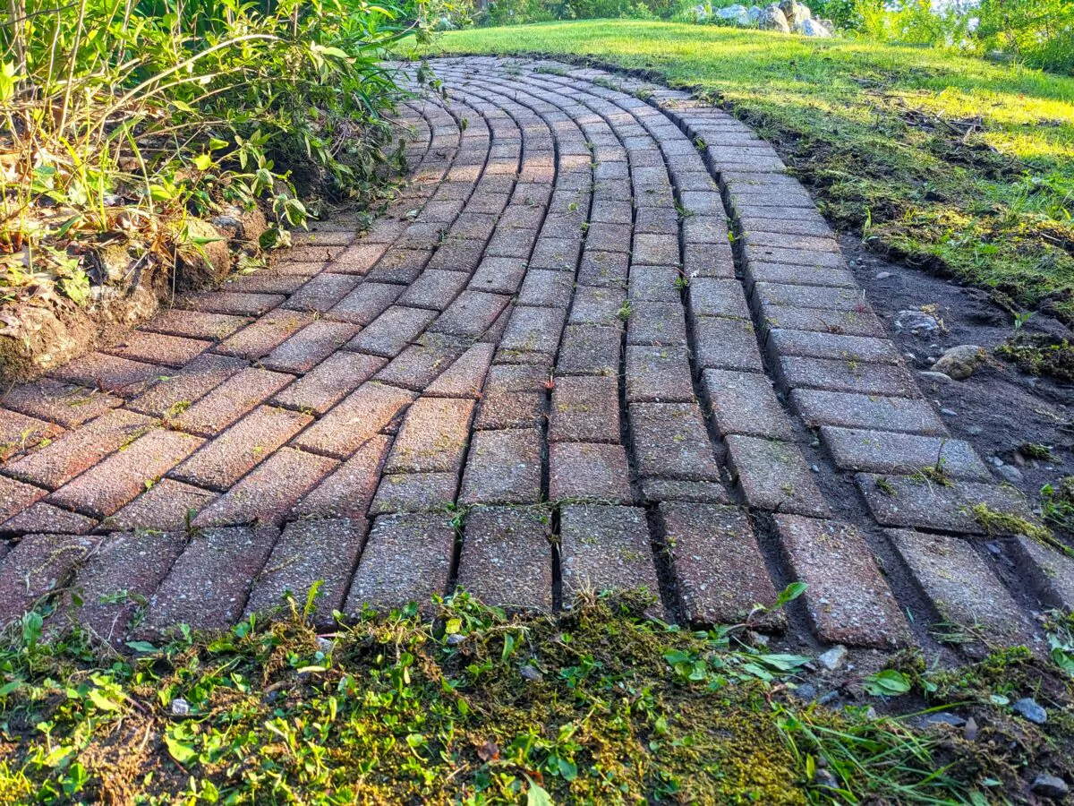 This is a sidewalk built using concrete paver brick. Hours before the photo was taken, it was power washed to remove stubborn moss growth. It's a hot mess. (Tim Carter/Tribune Content Agency)