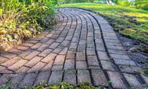 The Harsh Truth About Concrete Pavers