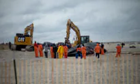 Post-Mortem Exams Being Performed on 2 Dead Whales Seen Floating Off New York This Week