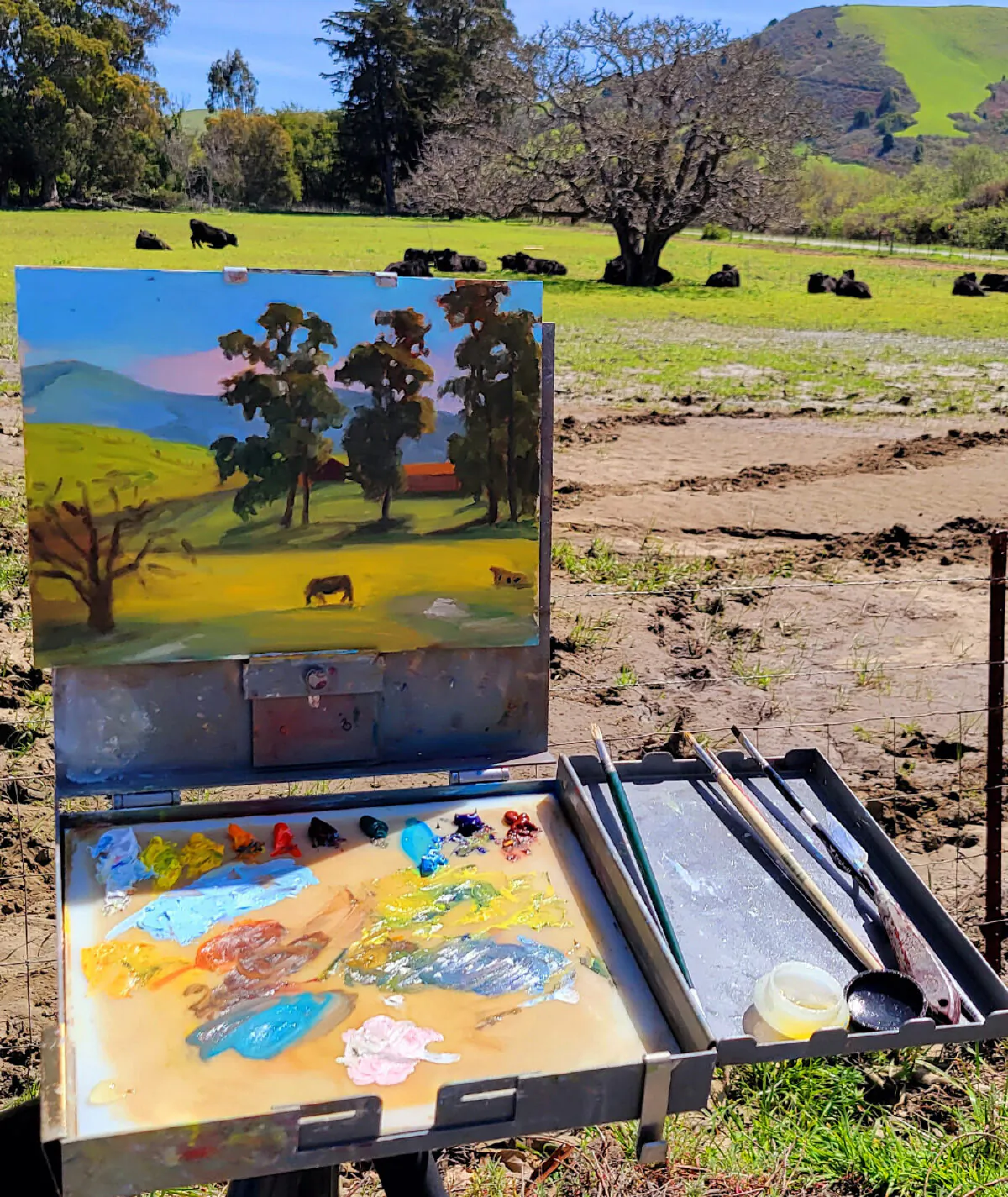 Artists will find perfect spots for plein-air painting at Stolo Vineyards and Winery in Cambria, California. (Photo courtesy of Jim Farber)