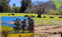Destination: Cambria