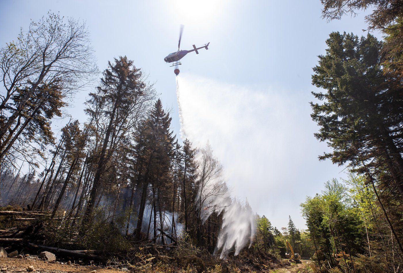Some Residents Near Centennial Lake Evacuate as Ontario Wildfires Burn: Township - Vimarsana News