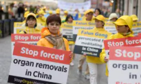 An Organ in 10 Minutes: Experts Warn Australia in the Dark on Organ Trafficking
