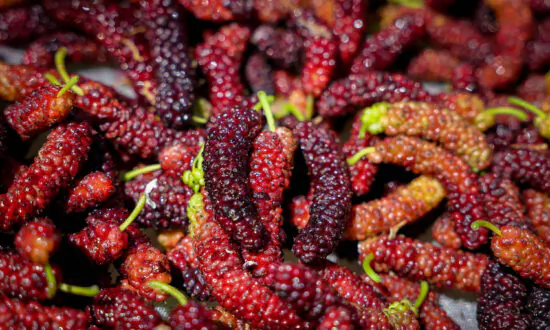What’s Long, Dark Purple, Sweet, and Packed With Nutrition?