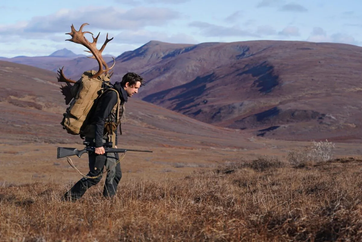 Michael
Easter carries a
heavy load while
caribou hunting in
the Arctic tundra. (SICMANTA)