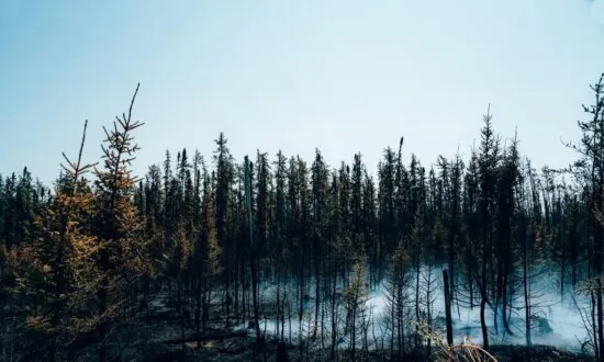 French President Sending 100 Firefighters to Fight Quebec Wildfires