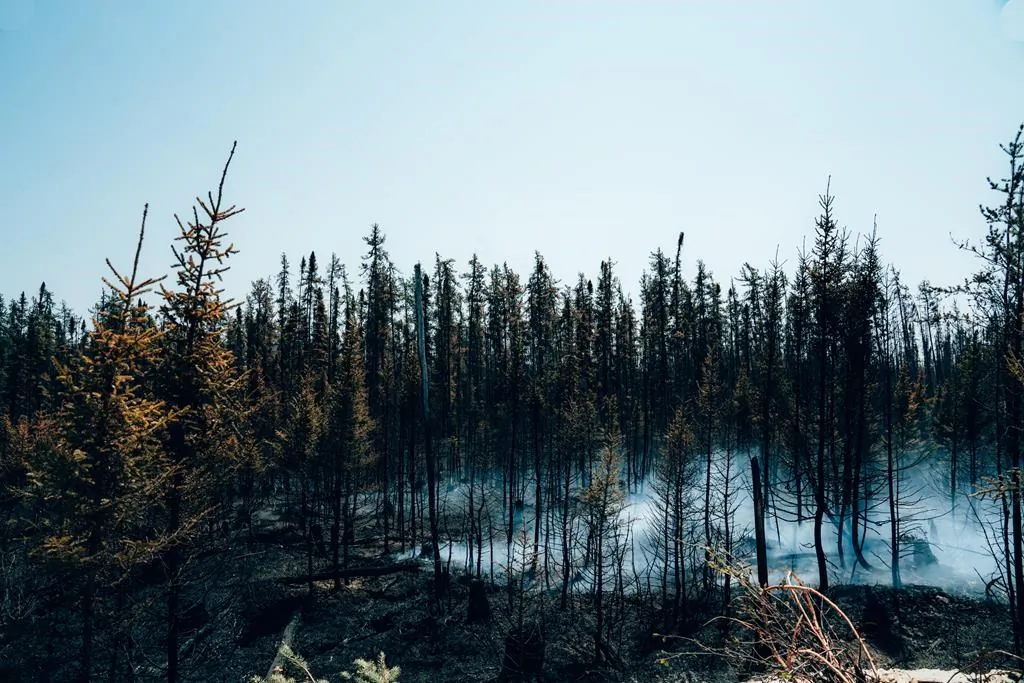 Smoke rises from burning trees near Chapais in Northern Quebec on June 2, 2023. (Handout: SOPFEU Prevention and Communications-Audrey Marcoux/The Canadian Press)