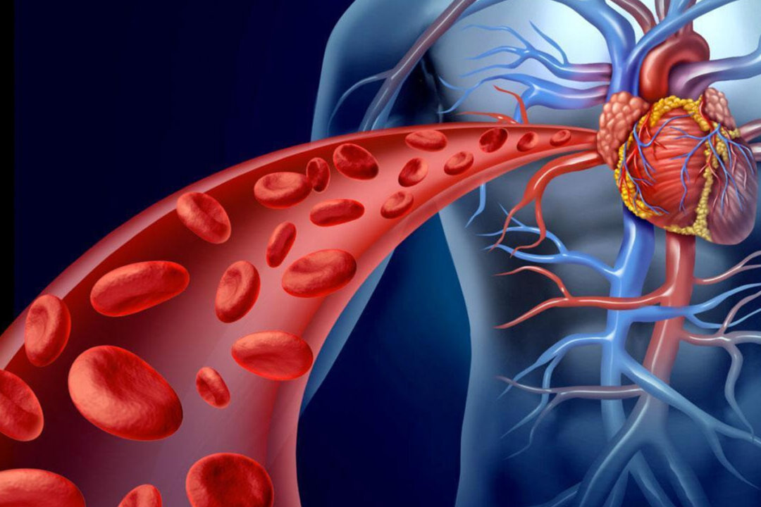 Nourish the Heart and Blood Vessels With These 5 Foods, Plus 2 Cardioprotective Acupoints