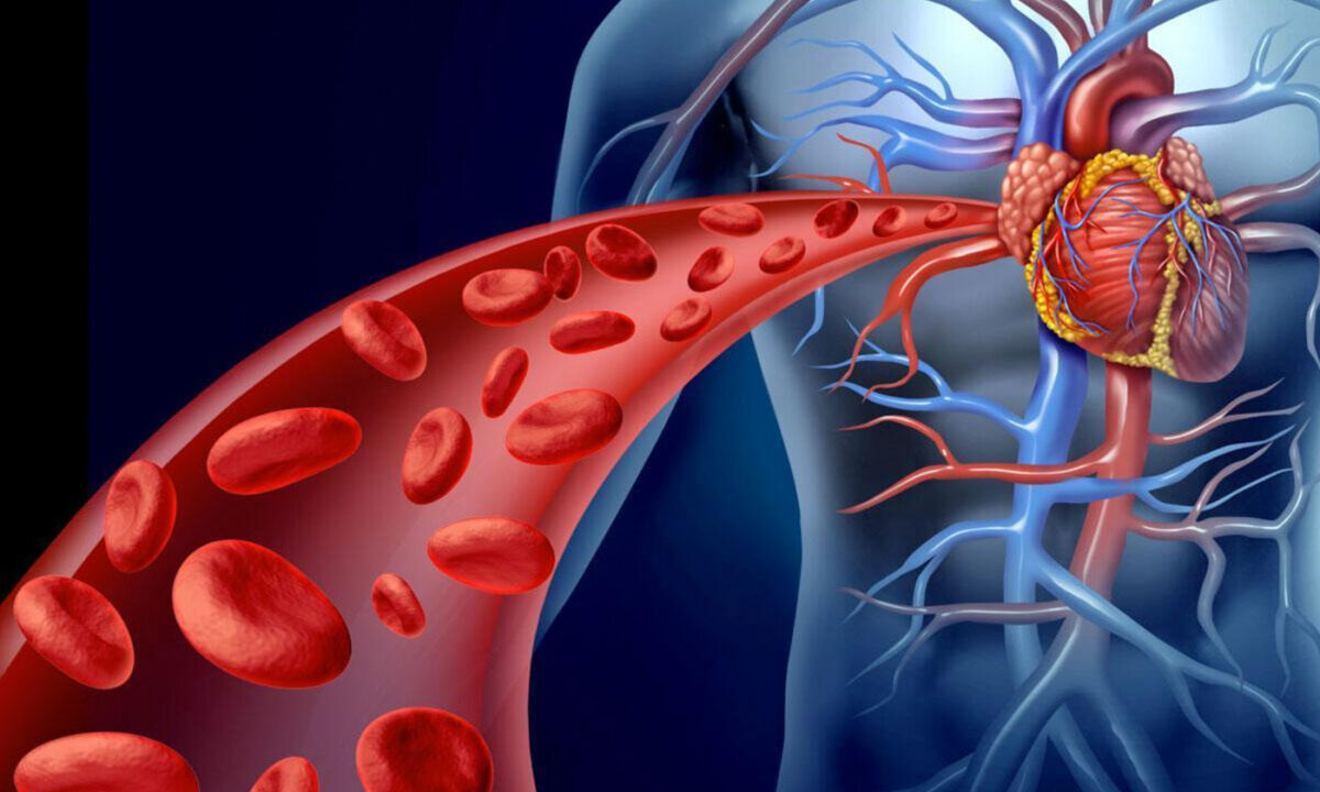 NextImg:Nourish the Heart and Blood Vessels With These 5 Foods, Plus 2 Cardioprotective Acupoints