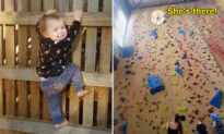 Toddler Who’s Been Climbing Since She Was 11 Months Can Now Scale 52-Foot Walls