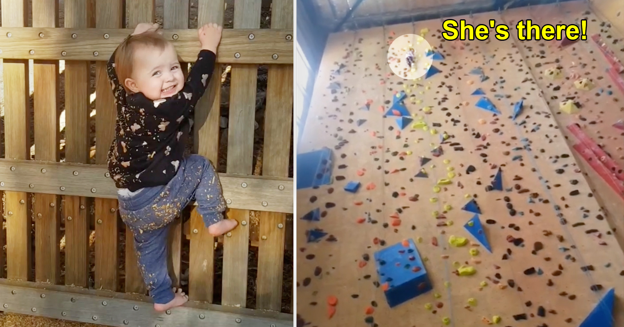 NextImg:Toddler who's been climbing since she was 11 months can now scale 52-foot walls