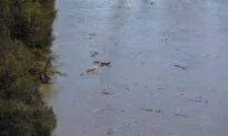 Rescuers Search for Missing Edmonton Teen Swept Away by North Saskatchewan River