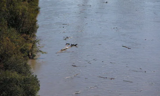 Rescuers Search for Missing Edmonton Teen Swept Away by North Saskatchewan River
