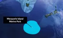 Australia to Create a Marine Park Bigger Than Japan