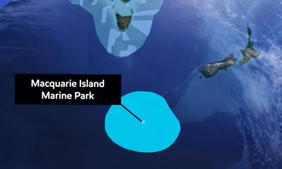 Australian to Create Conservation Zone Bigger Than Japan