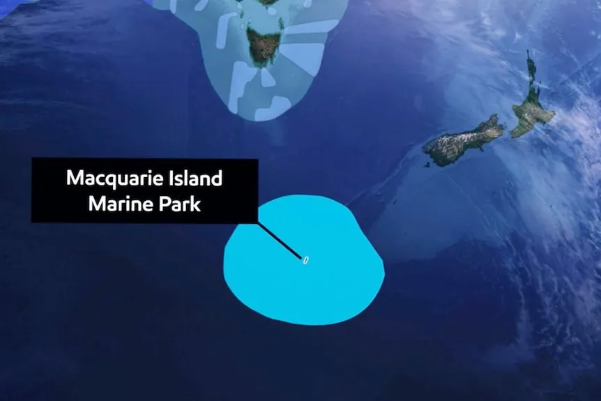 The Macquarie Island marine park will grow from 162,000 square kilometres to 475,465 square kilometres.(Supplied: Department of Environment and Water)
