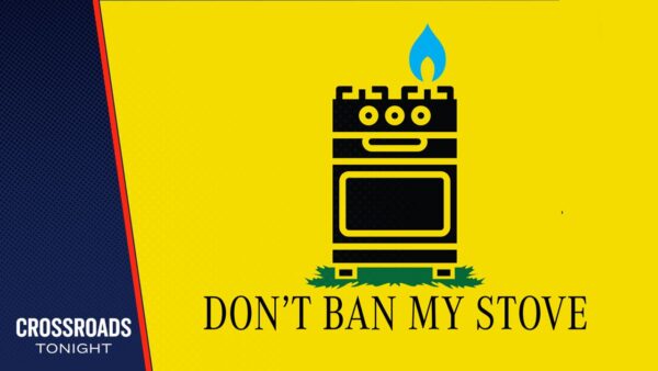 Government's Ban Isn't Only About Gas Stoves