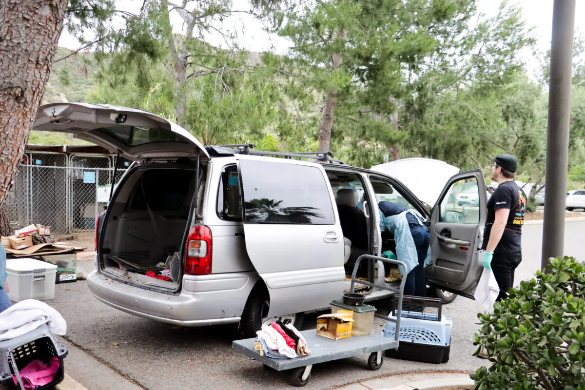 San Diego Humane Society rescues 78 rats found living in squalor inside a van in Escondido, Calif., on June 6, 2023. (Courtesy of San Diego Humane Society)