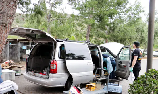 78 Rats Found Living Inside a Van in Escondido Parking Lot