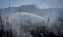 Vancouver Island Road Closed, Campfire Bans, as Drought Raises Wildfire Risks in BC