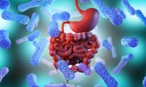 Study: Replacing Lost Bacteria Alleviates Long COVID